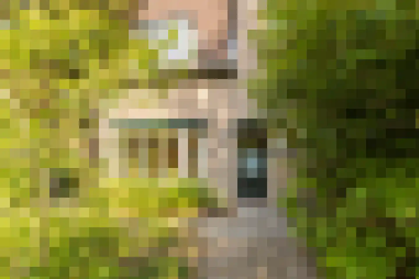 Soestdijkseweg Zuid 201 Bilthoven thumbnail 4