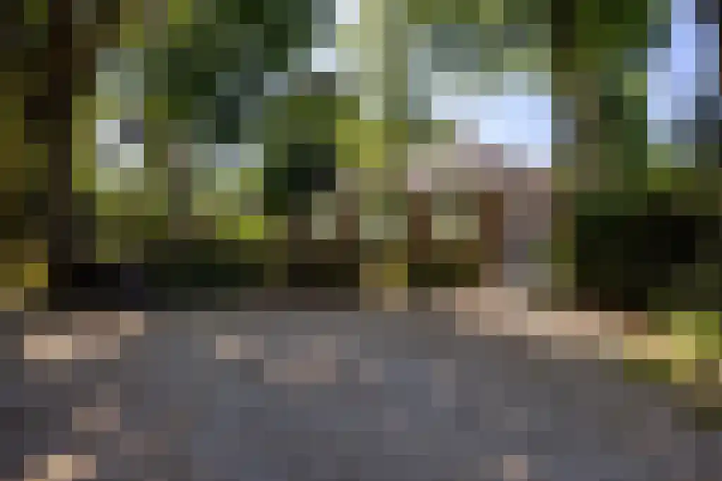 Soestdijkseweg Zuid 244 E Bilthoven thumbnail 35