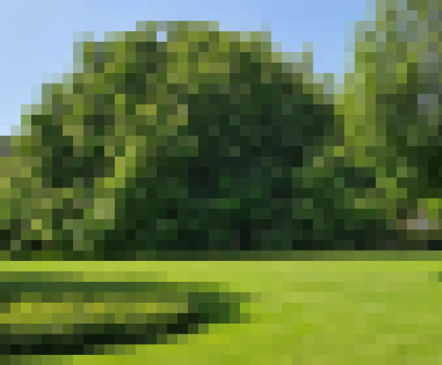Soestdijkseweg Zuid 87 B 9 De Bilt thumbnail 29