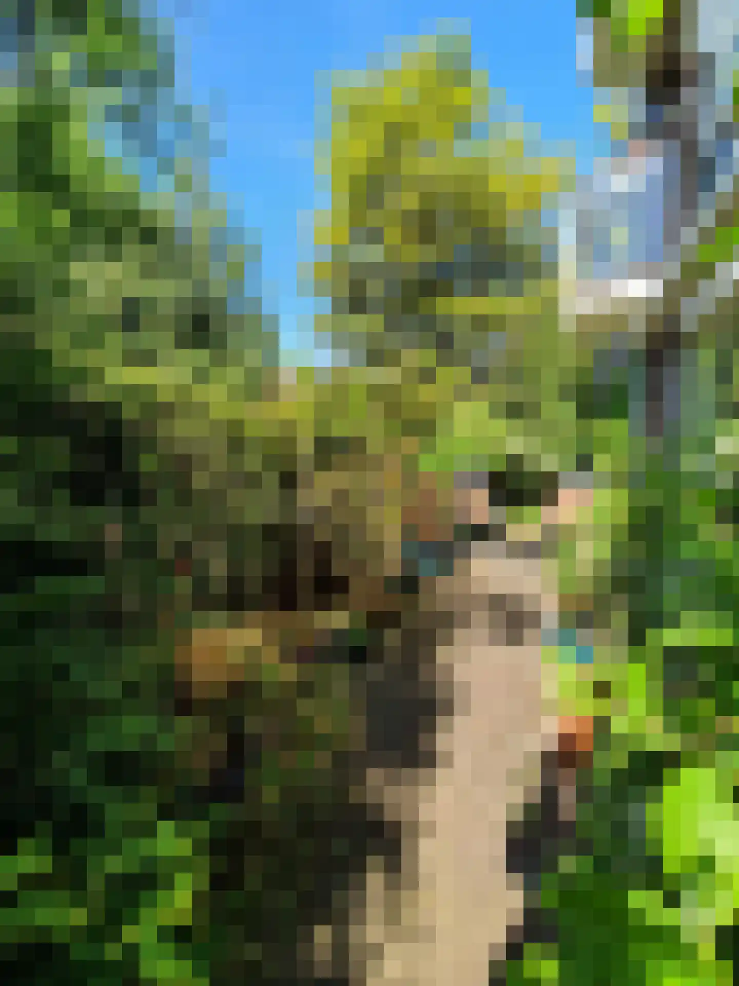 Soestdijkseweg Zuid 87 B 9 De Bilt thumbnail 5