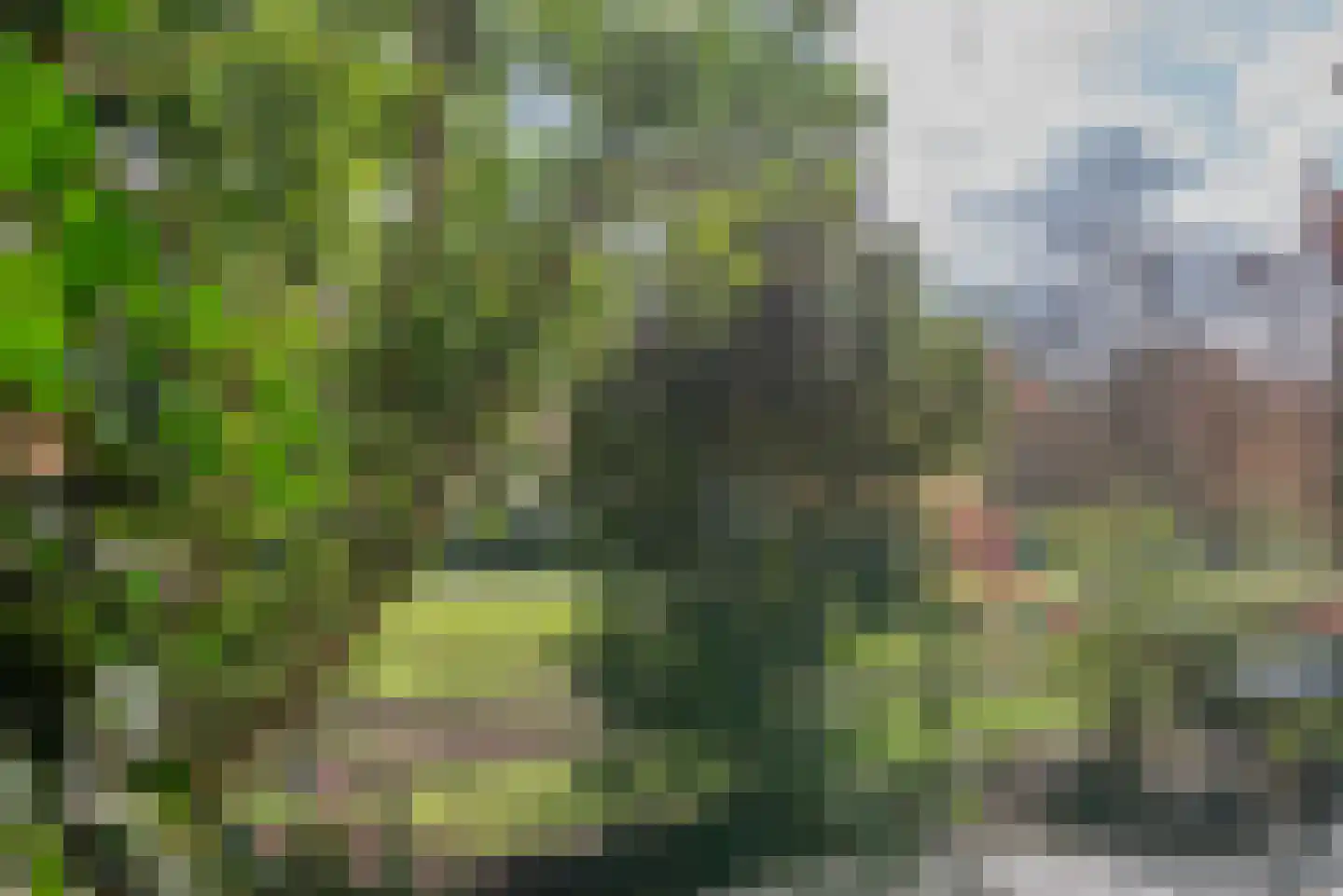 Soestdijkseweg Zuid 87 C 7 De Bilt thumbnail 18