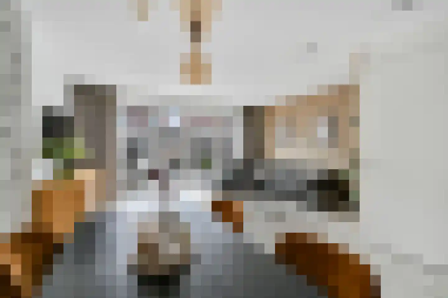 Soestdijkstraat 37 Zevenhuizen thumbnail 10