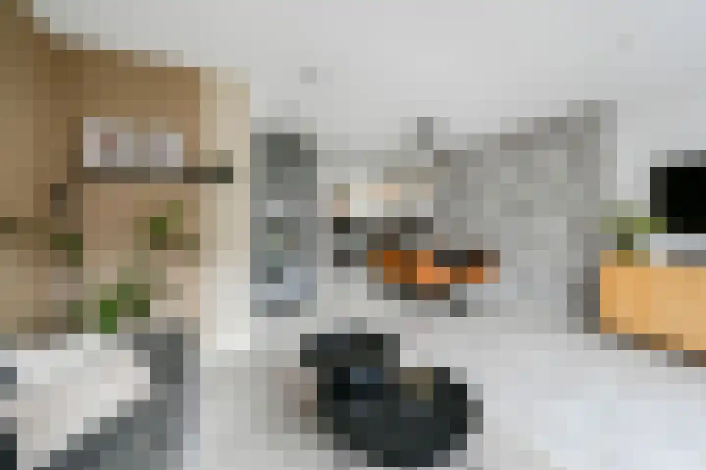 Soestdijkstraat 37 Zevenhuizen thumbnail 12