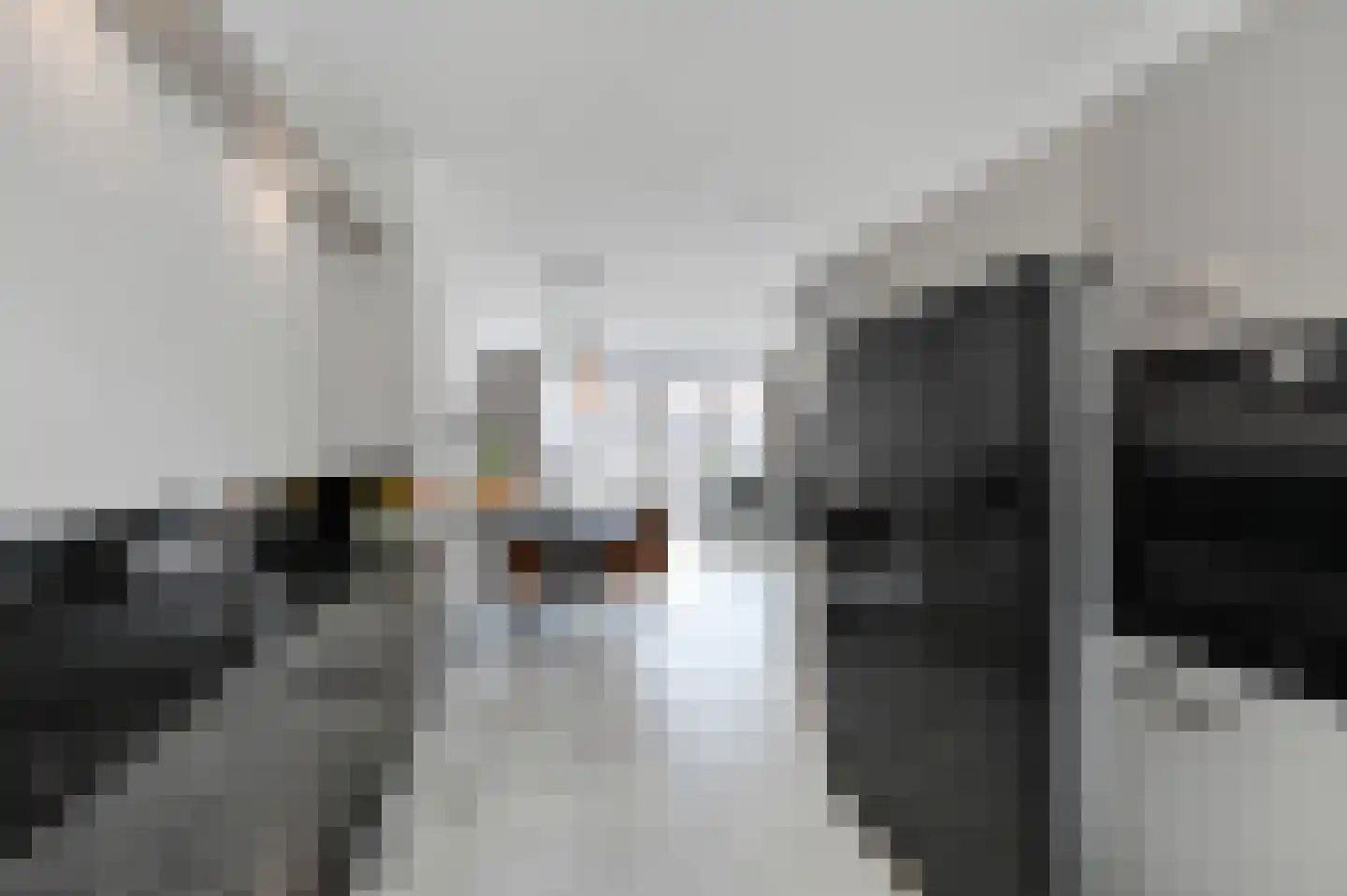 Soestdijkstraat 37 Zevenhuizen thumbnail 16