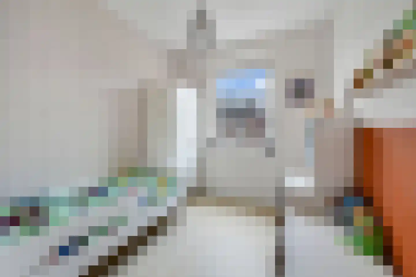 Soestdijkstraat 37 Zevenhuizen thumbnail 29