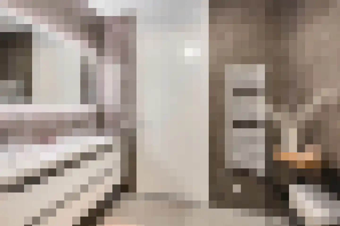 Soestdijkstraat 37 Zevenhuizen thumbnail 32