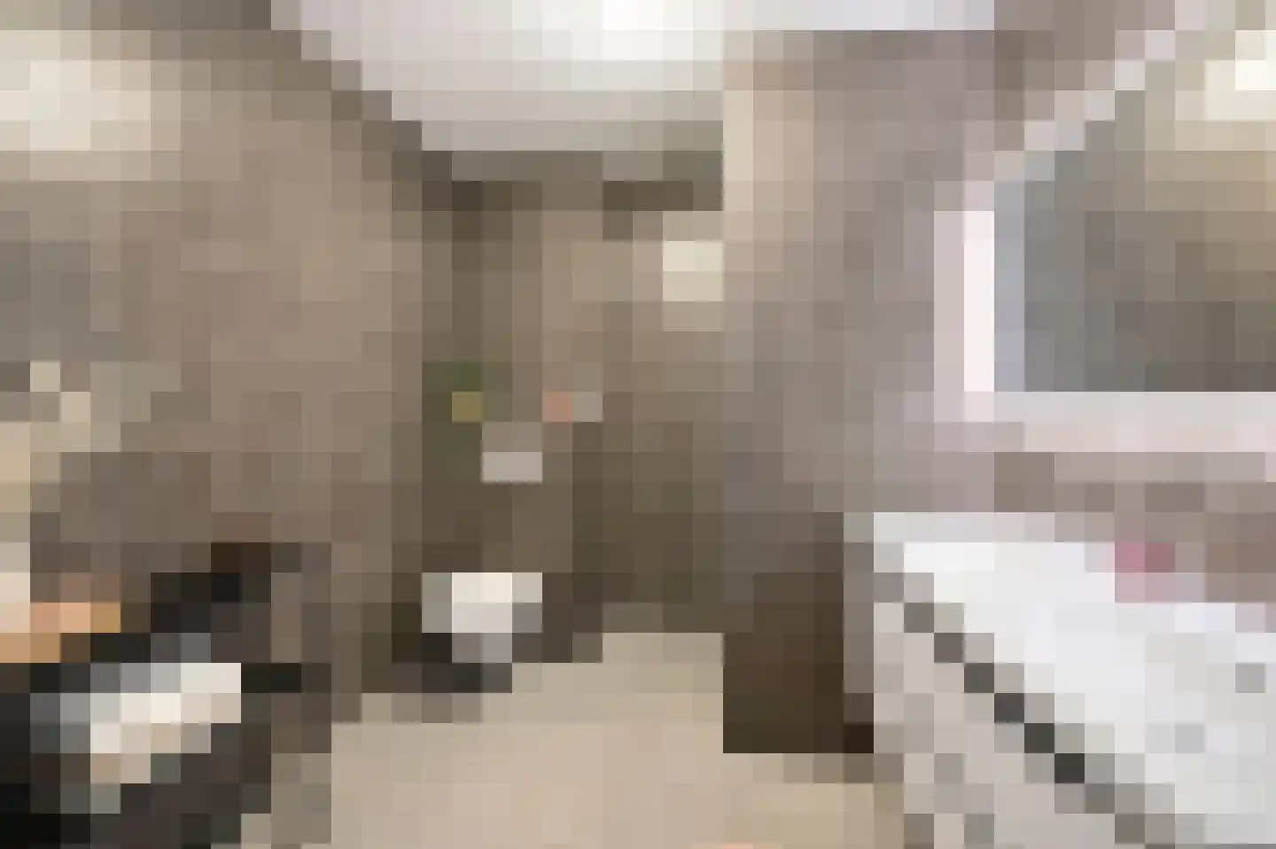 Soestdijkstraat 37 Zevenhuizen thumbnail 33