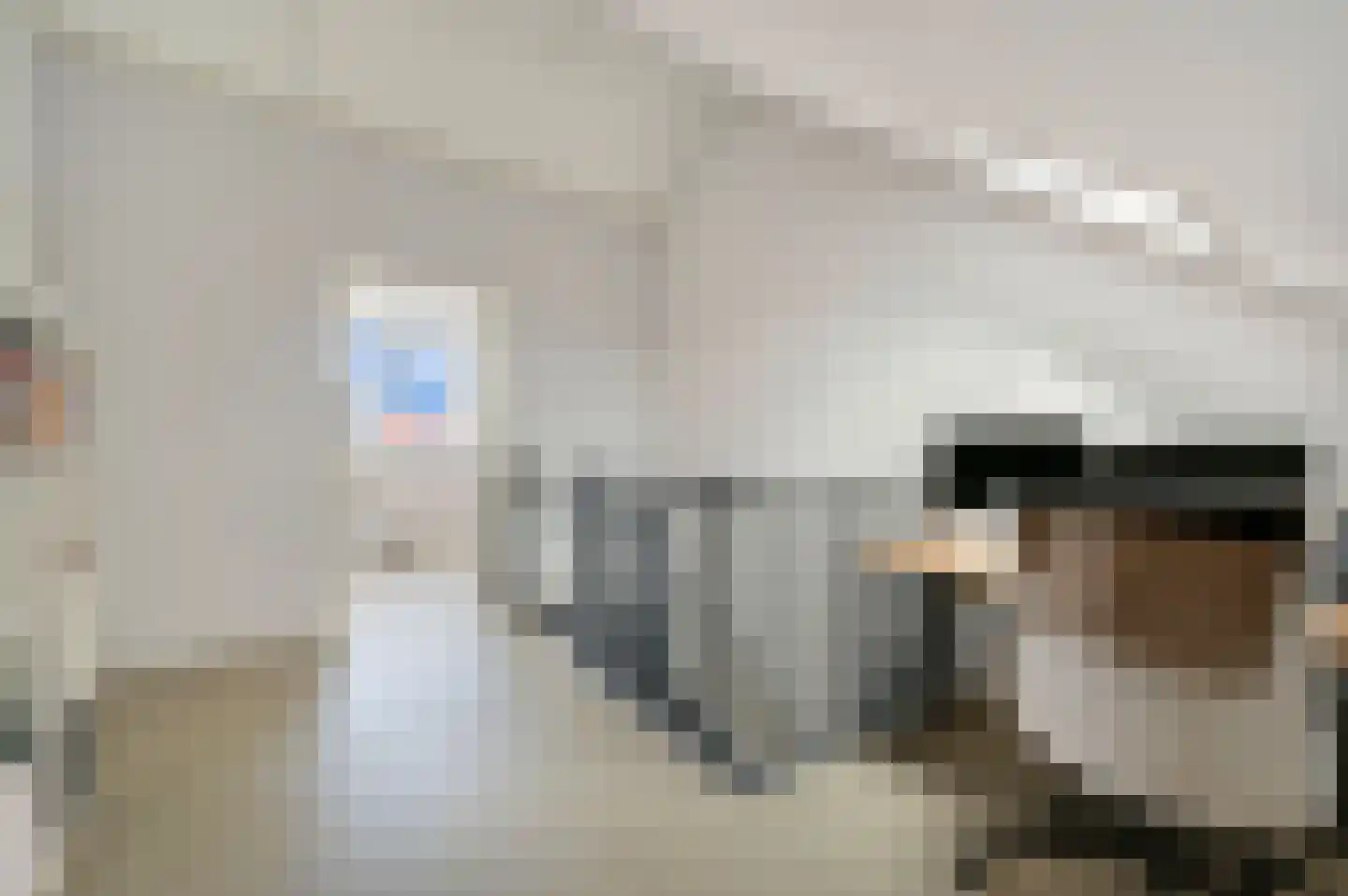 Soestdijkstraat 37 Zevenhuizen thumbnail 37