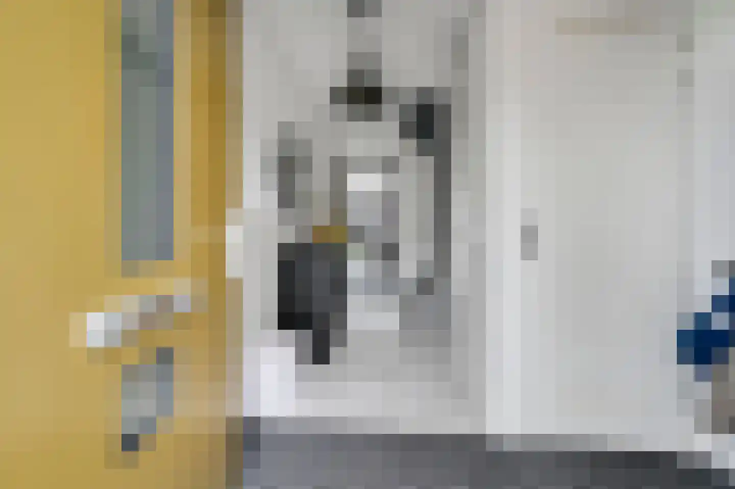 Soestdijkstraat 37 Zevenhuizen thumbnail 7
