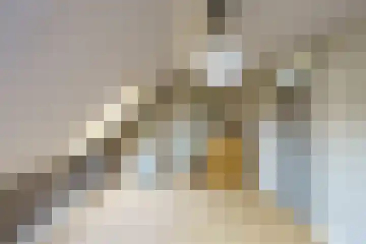 Soestdijkstraat 68 Haarlem thumbnail 34