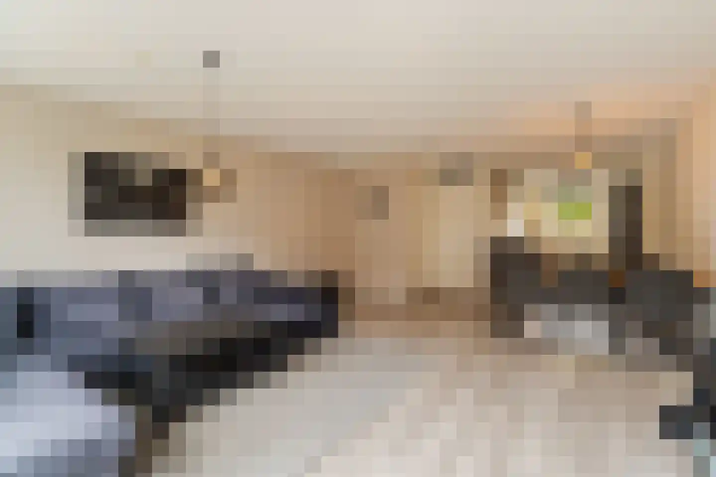 Soestdijkstraat 9 Zevenhuizen thumbnail 13