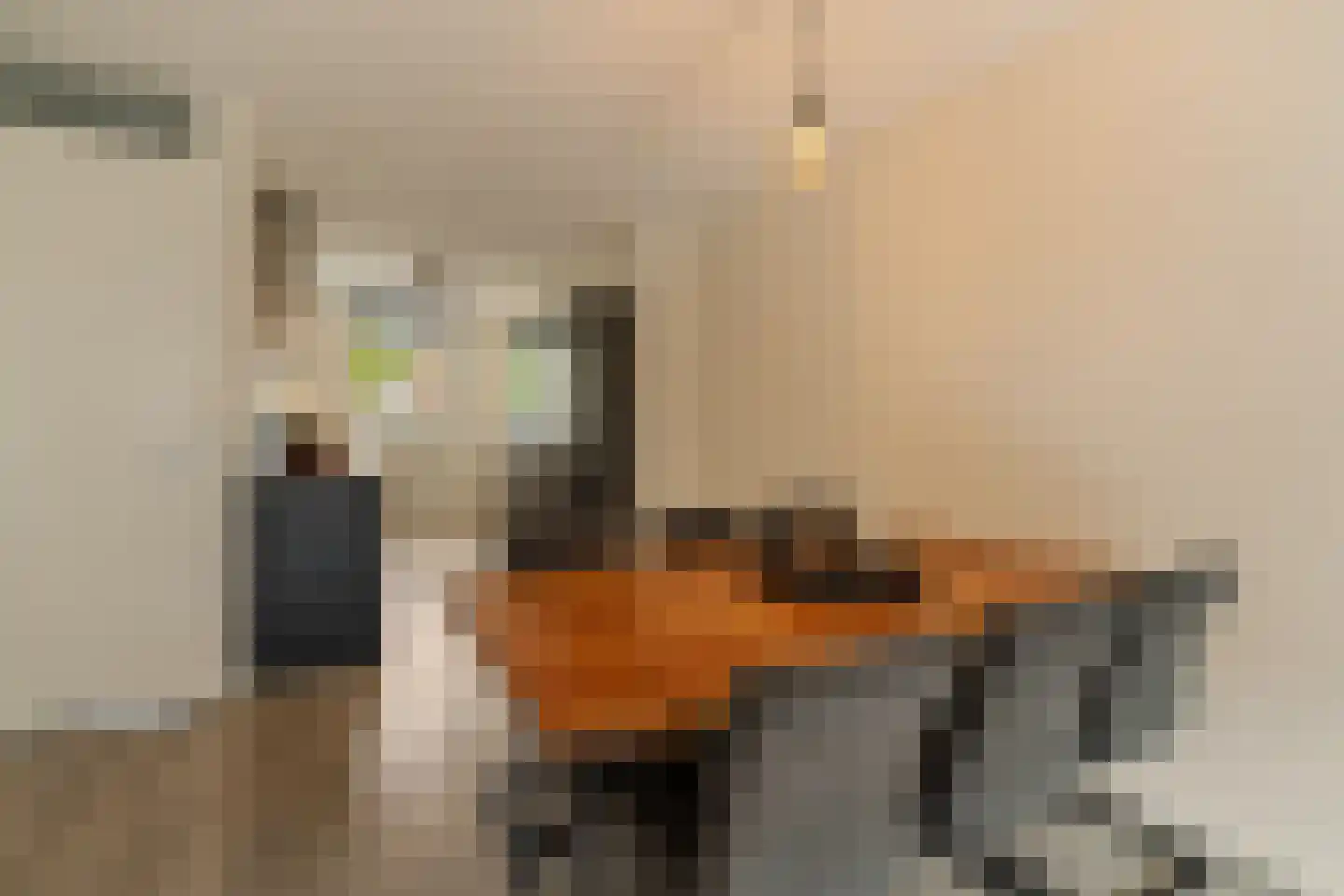 Soestdijkstraat 9 Zevenhuizen thumbnail 14
