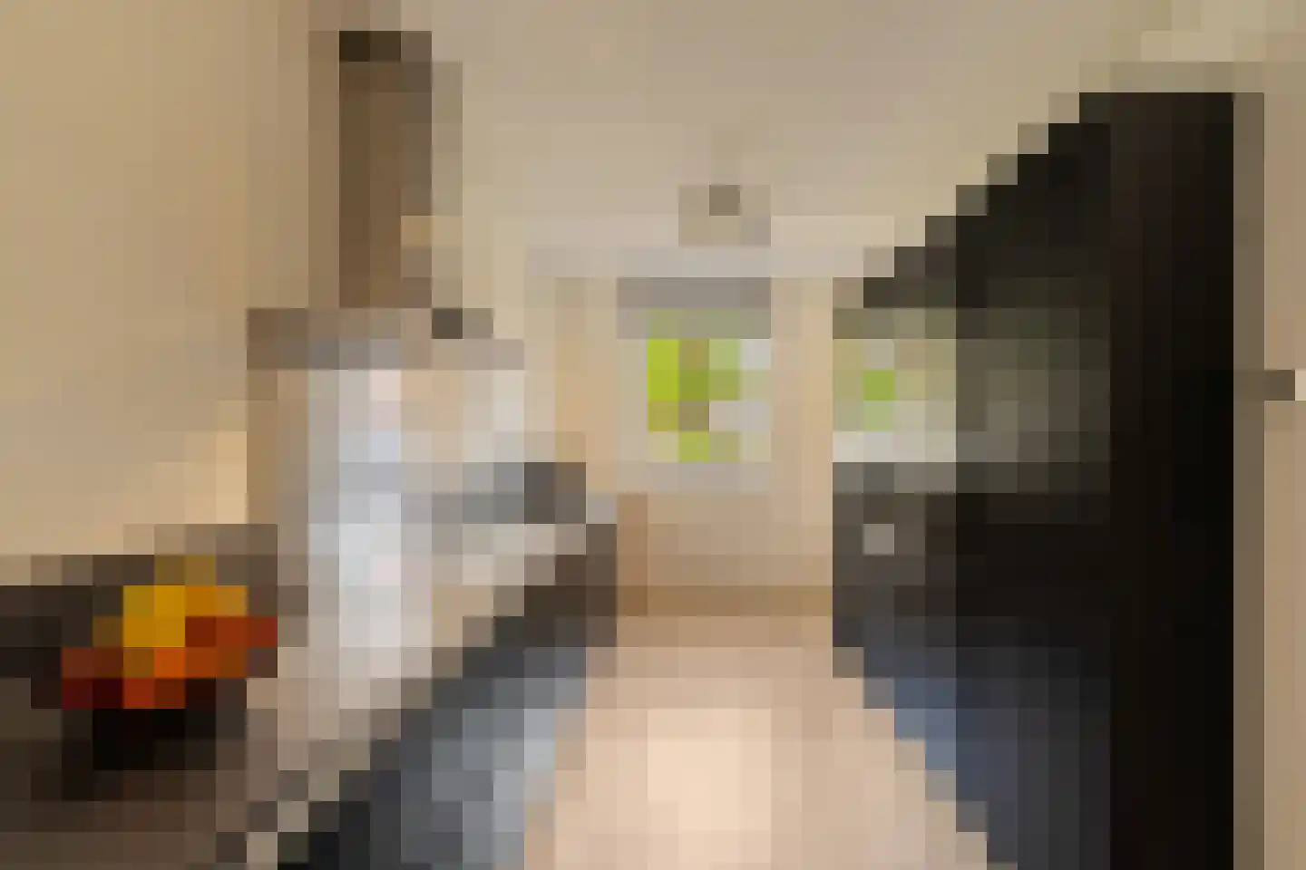 Soestdijkstraat 9 Zevenhuizen thumbnail 16