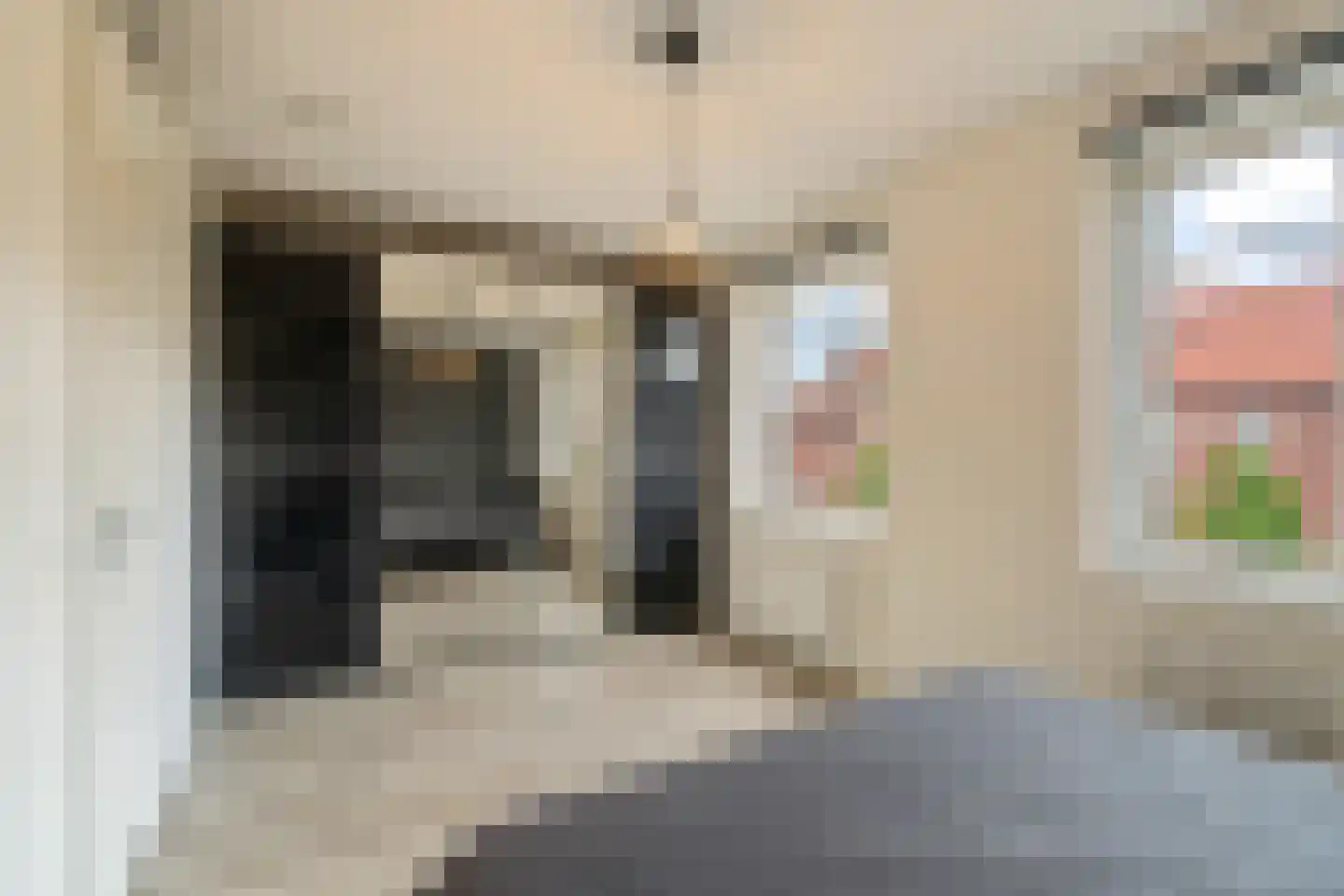 Soestdijkstraat 9 Zevenhuizen thumbnail 20