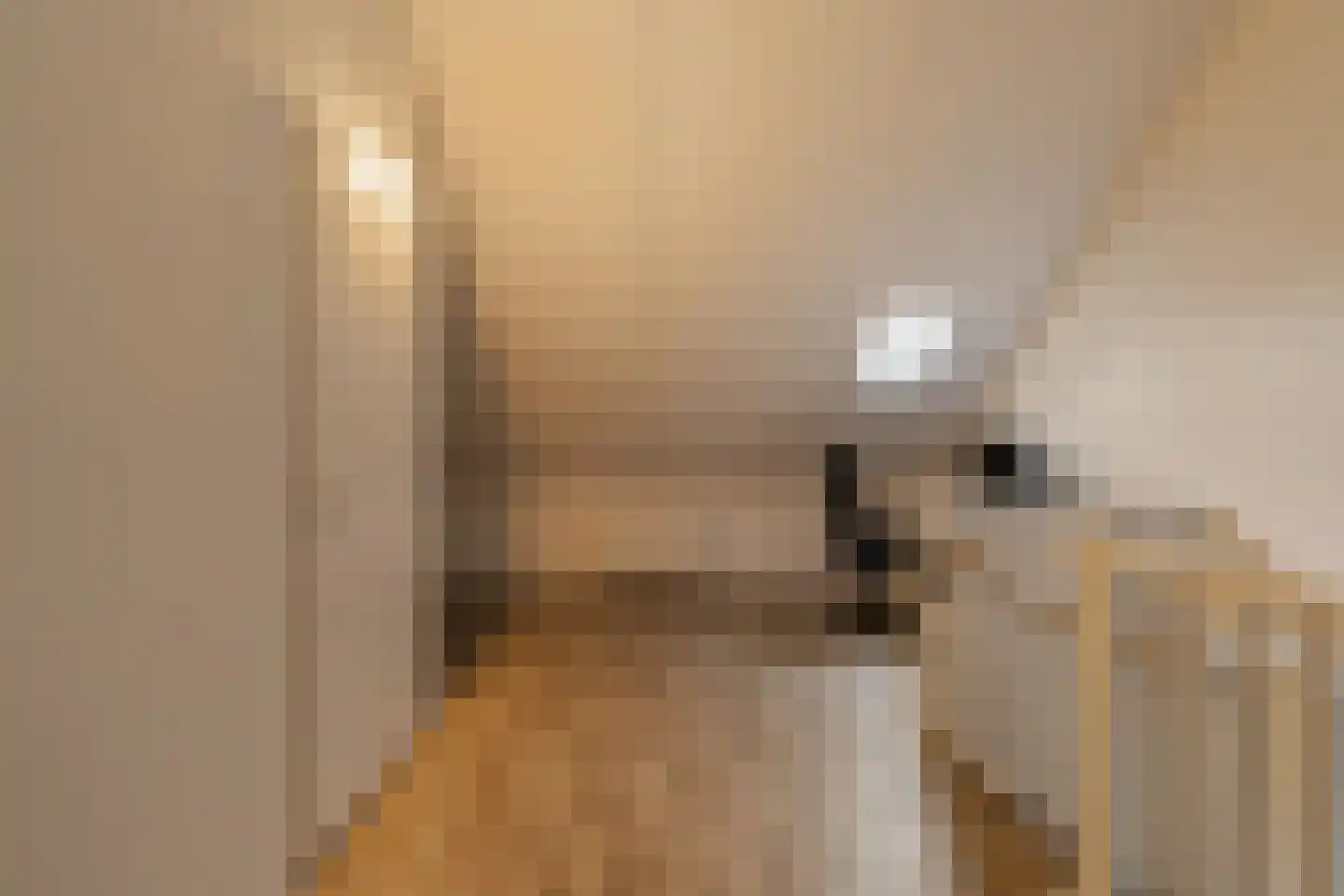 Soestdijkstraat 9 Zevenhuizen thumbnail 29