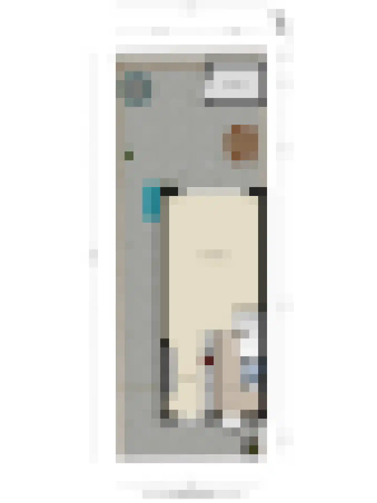 Soestdijkstraat 9 Zevenhuizen thumbnail 39