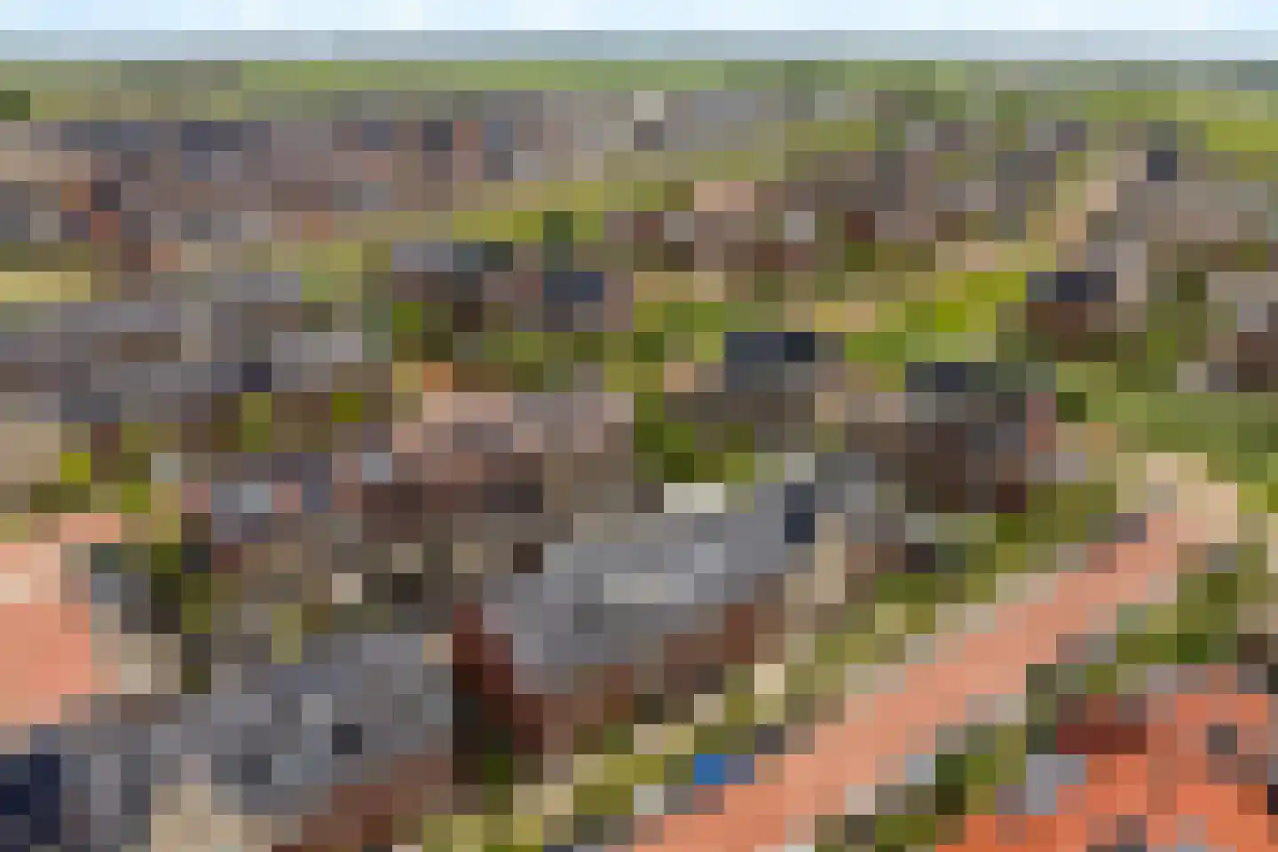 Soestdijkstraat 9 Zevenhuizen thumbnail 6