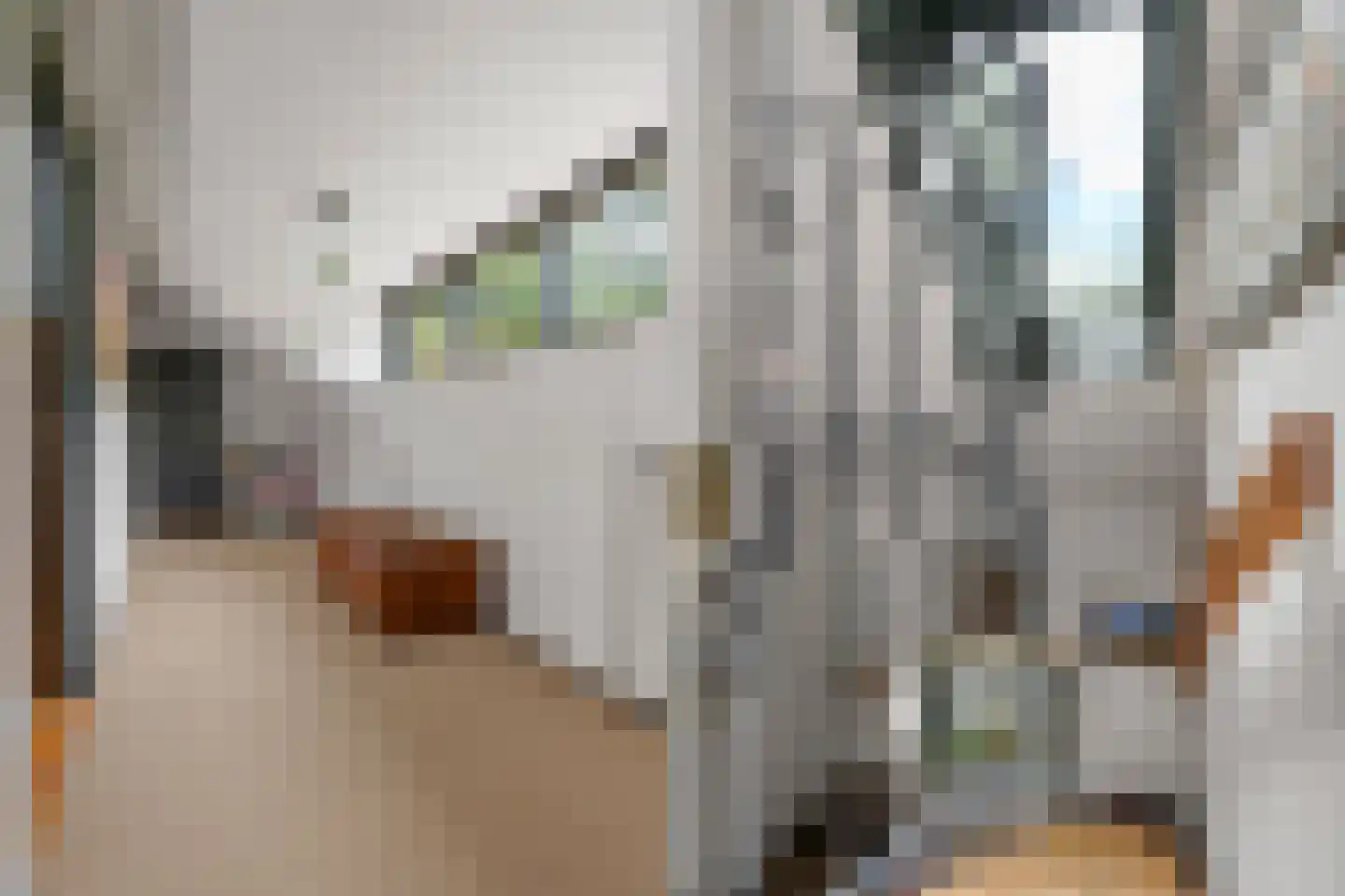 Soester Hoogt 2 Soest thumbnail 19