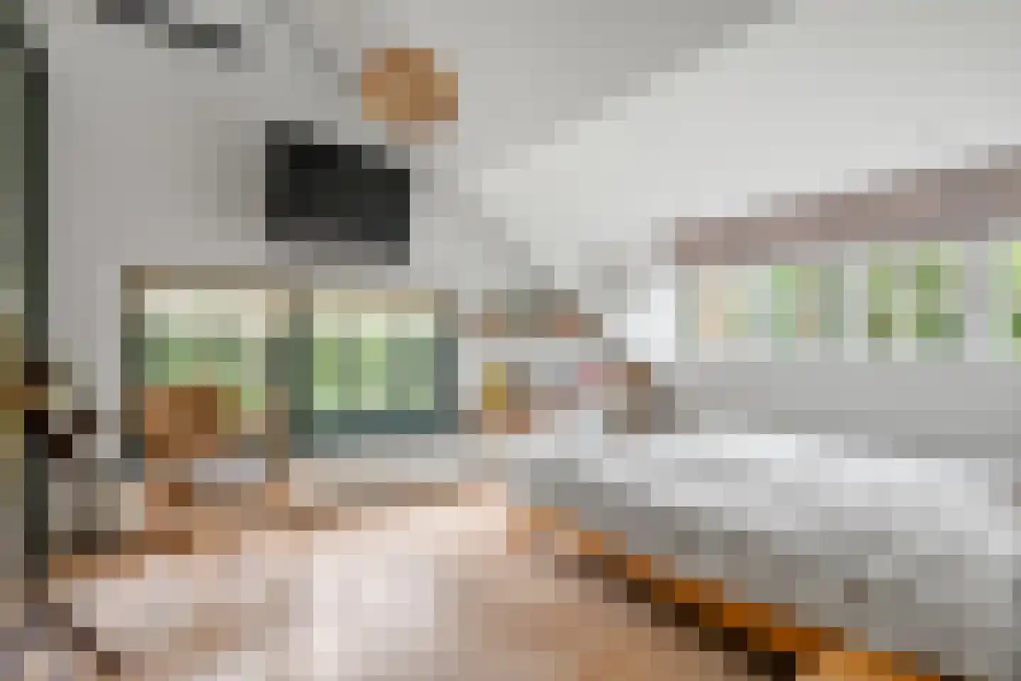 Soester Hoogt 2 Soest thumbnail 23