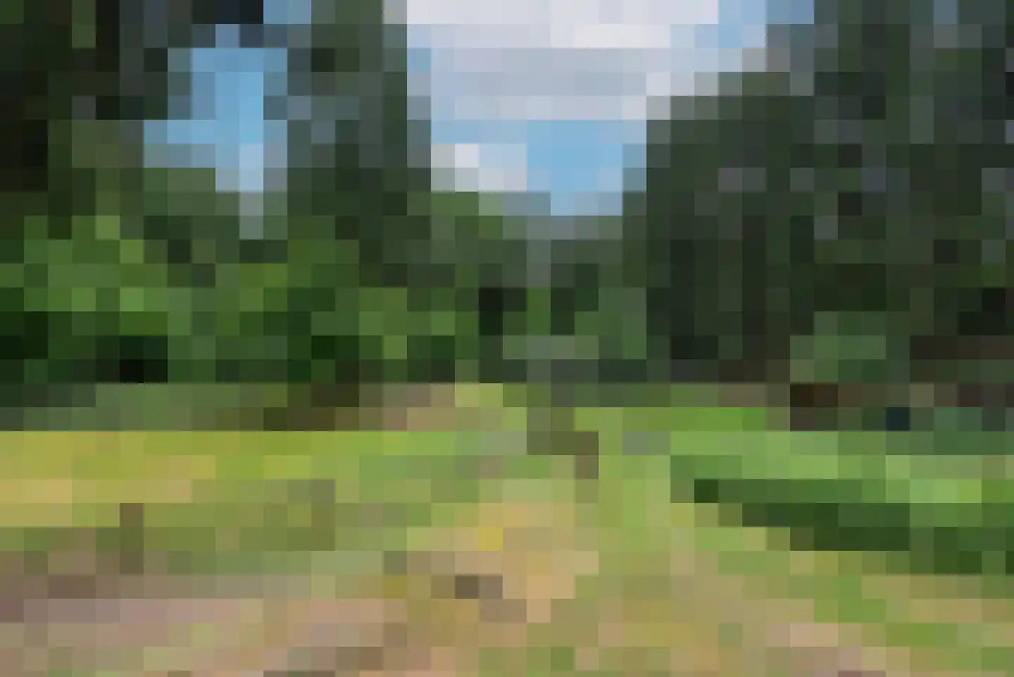 Soester Hoogt 2 Soest thumbnail 37