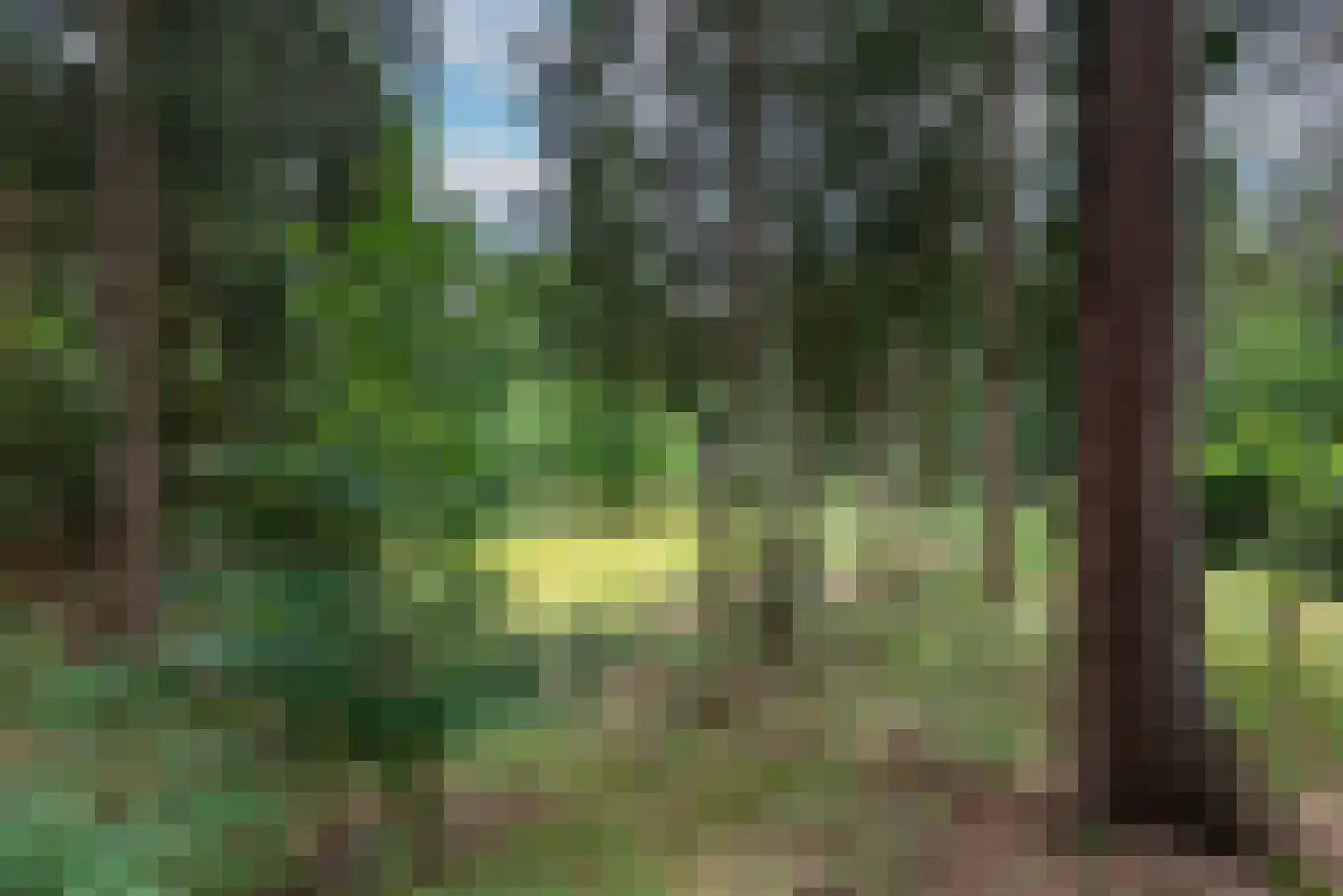 Soester Hoogt 2 Soest thumbnail 38