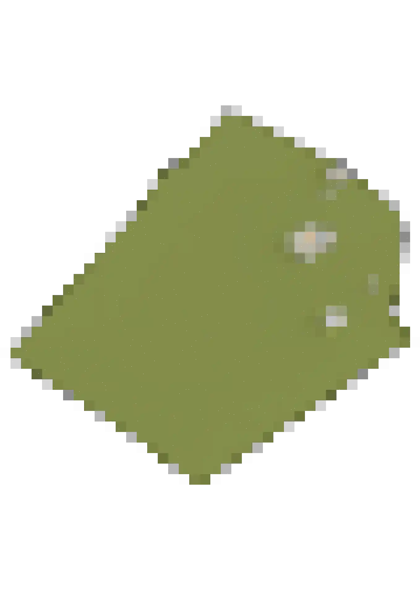 Soester Hoogt 2 Soest thumbnail 52