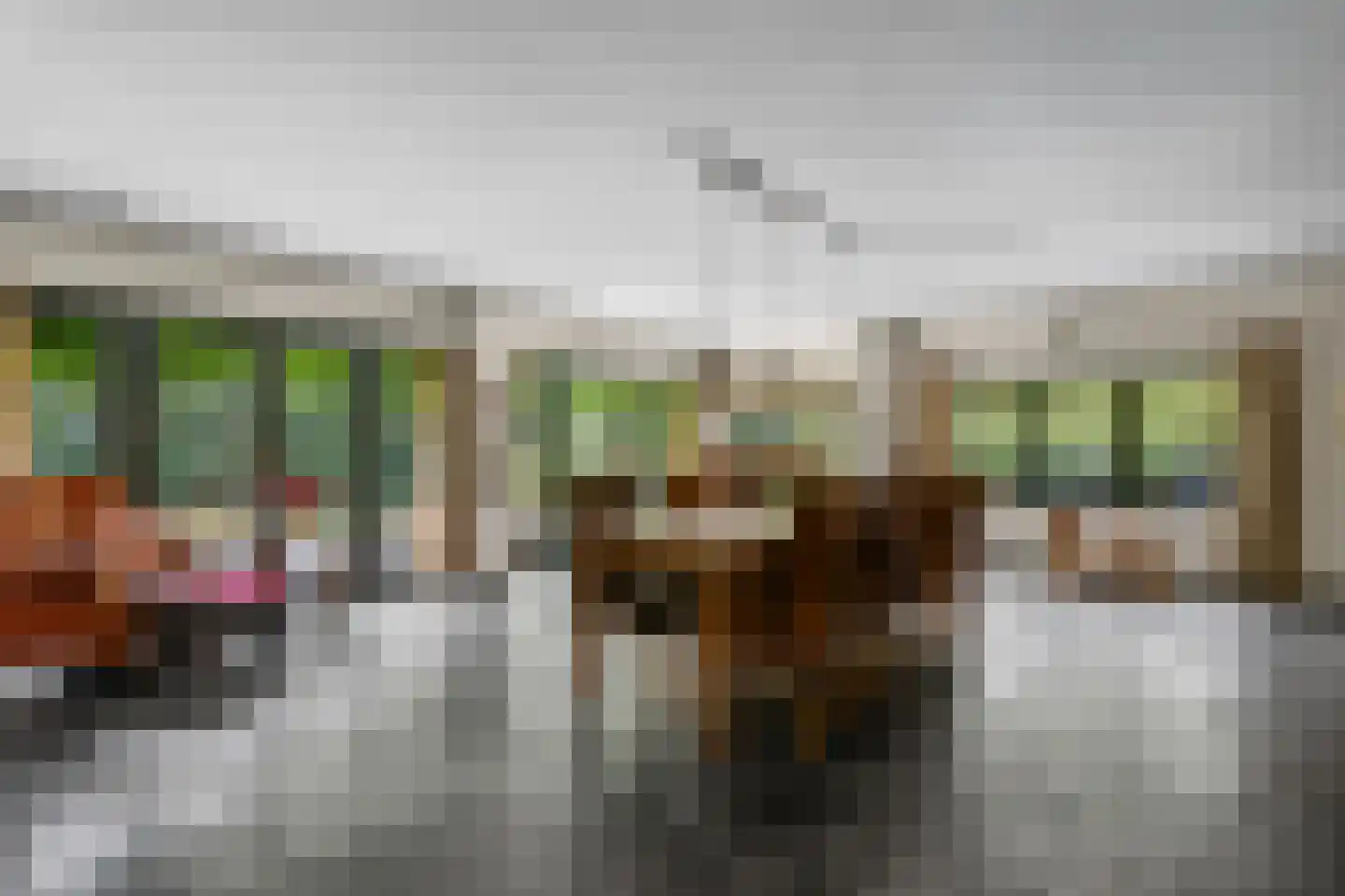 Soester Hoogt 2 Soest thumbnail 9