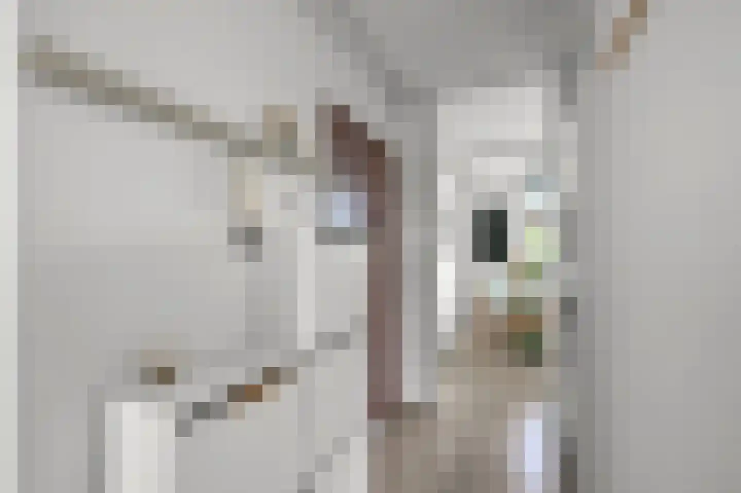 Soesterberghof 10 Amsterdam thumbnail 11