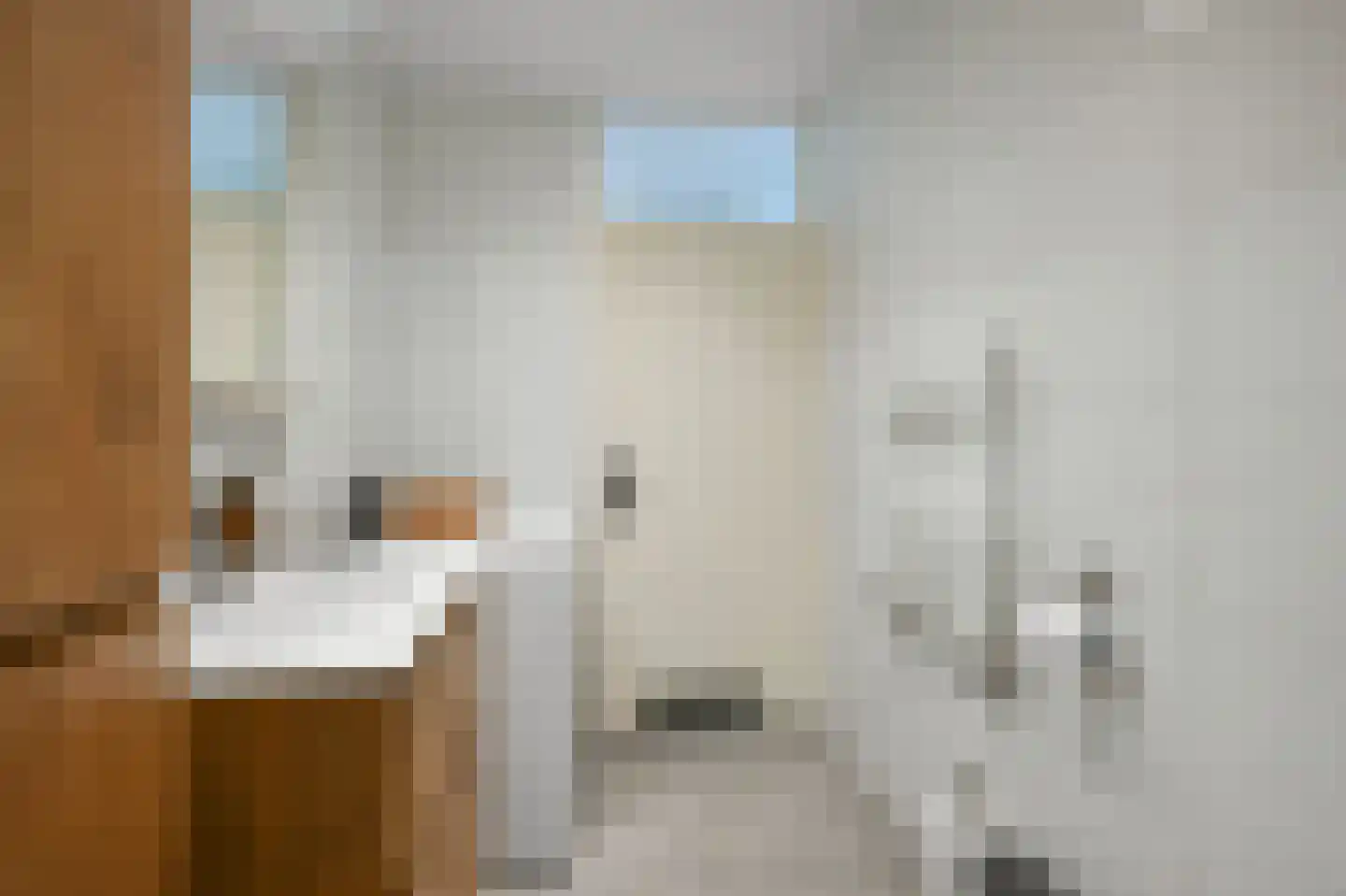 Soesterberghof 10 Amsterdam thumbnail 15