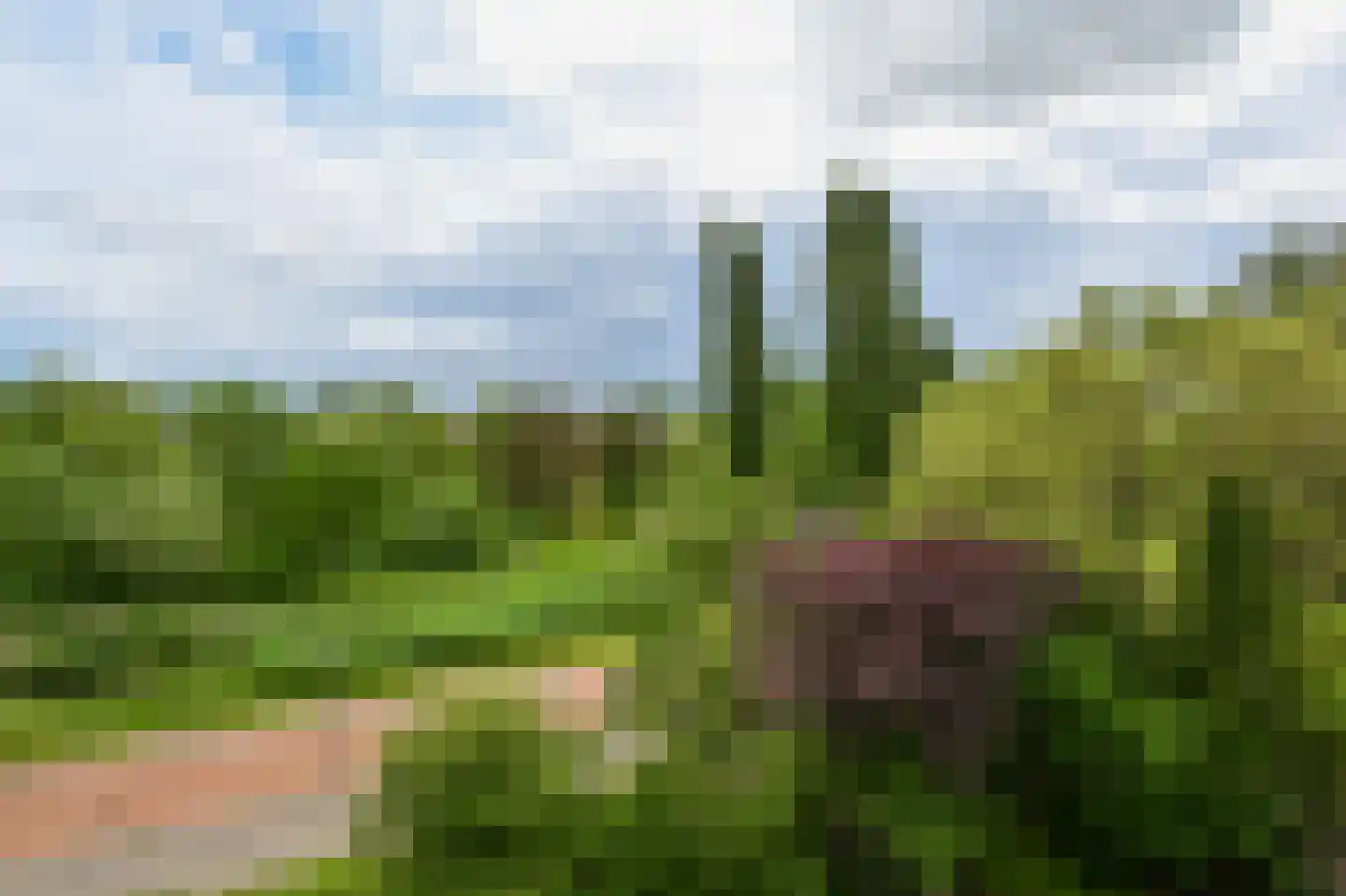 Soesterberghof 10 Amsterdam thumbnail 22