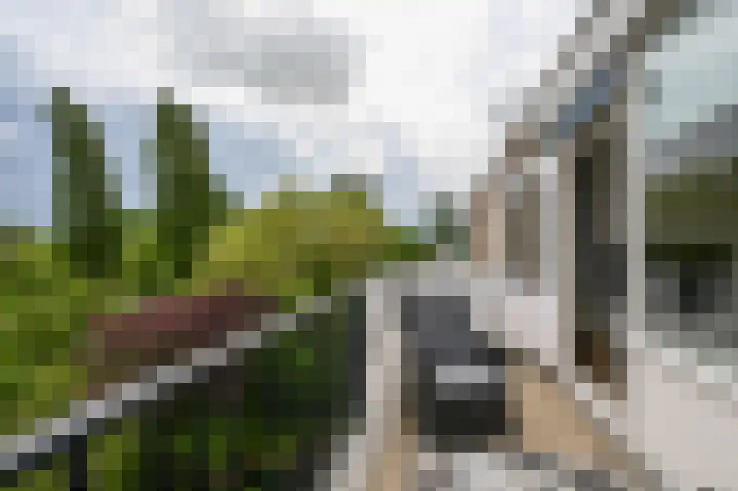 Soesterberghof 10 Amsterdam thumbnail 8
