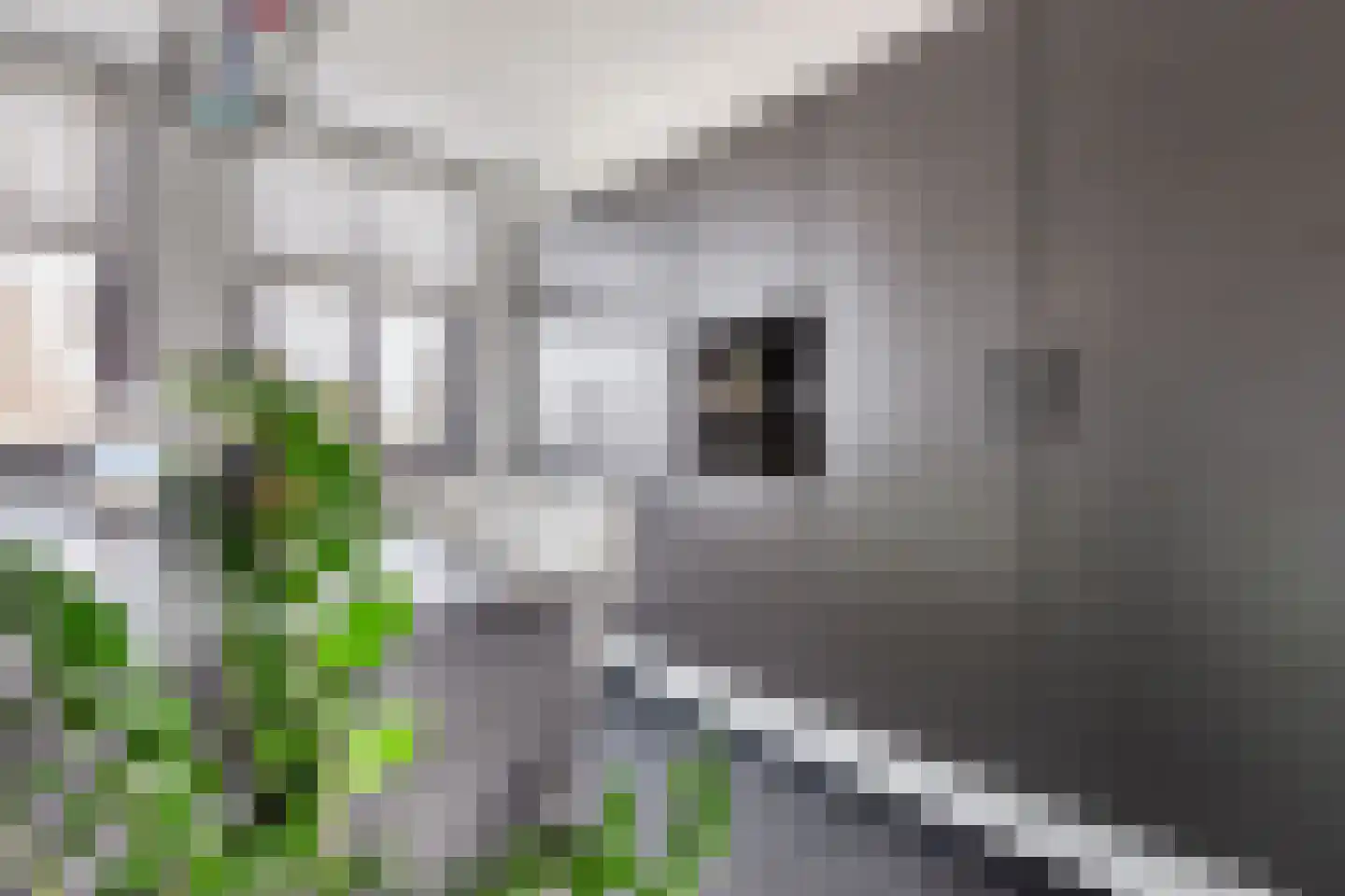 Soesterberghof 101 Amsterdam thumbnail 16