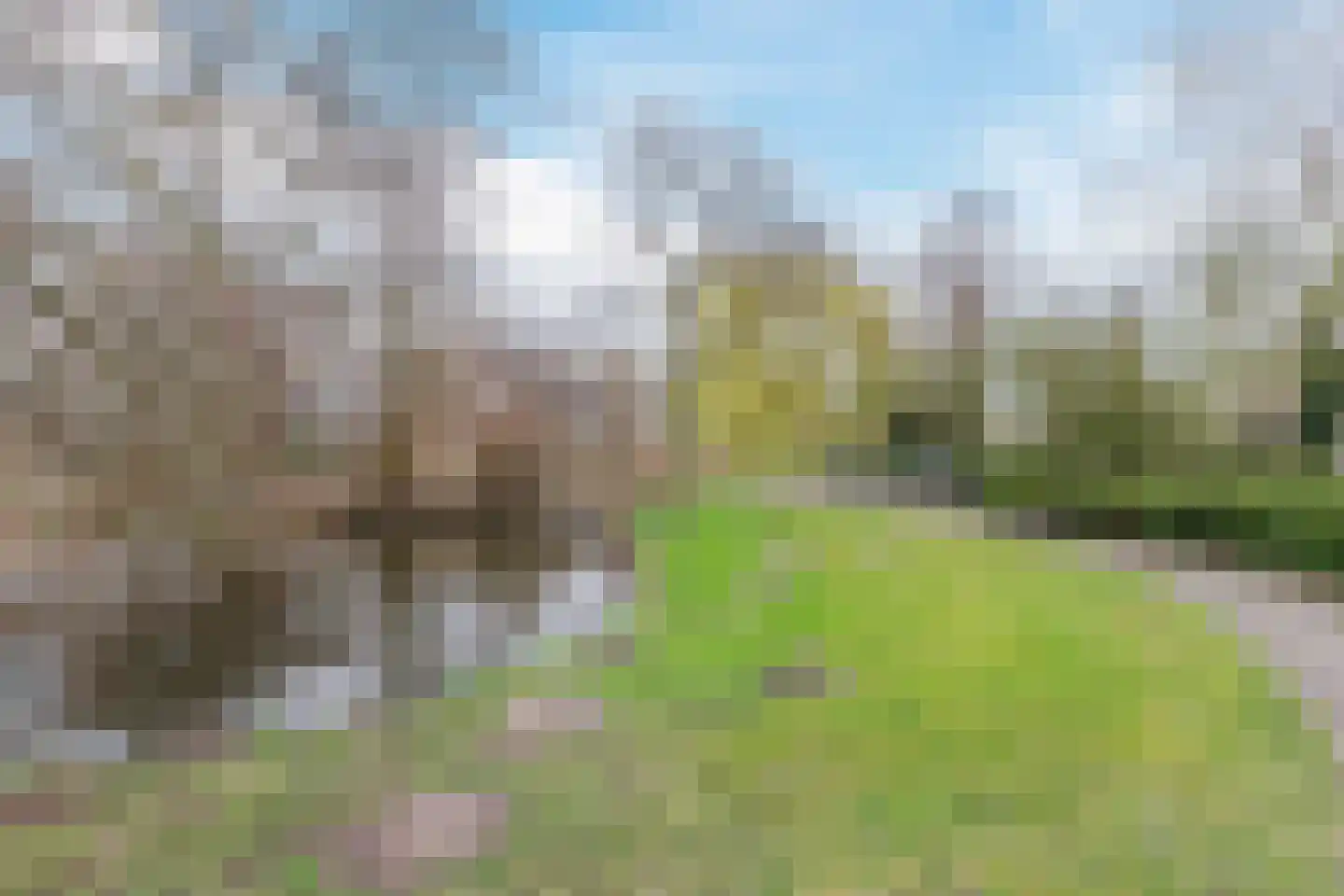 Soesterberghof 101 Amsterdam thumbnail 43