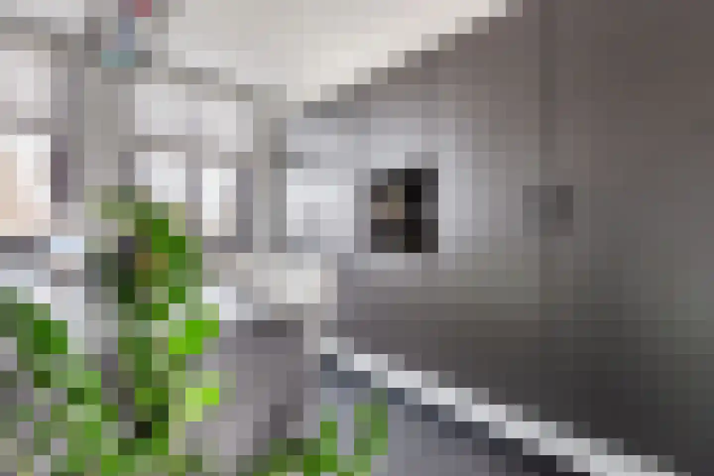 Soesterberghof 101 Amsterdam thumbnail 8