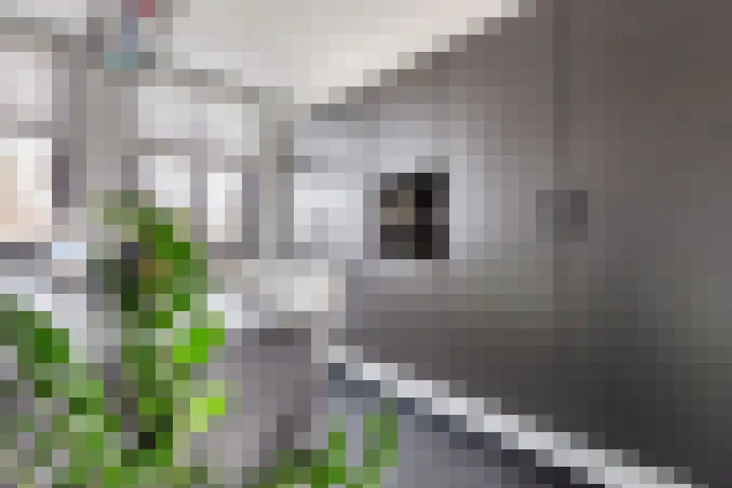 Soesterberghof 101 Amsterdam thumbnail 8