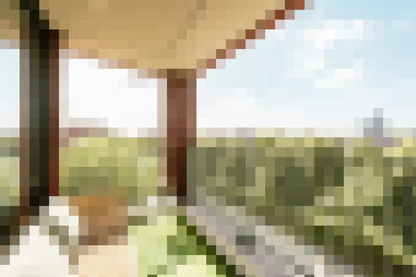 Soesterberghof 136 Nootdorp thumbnail 12