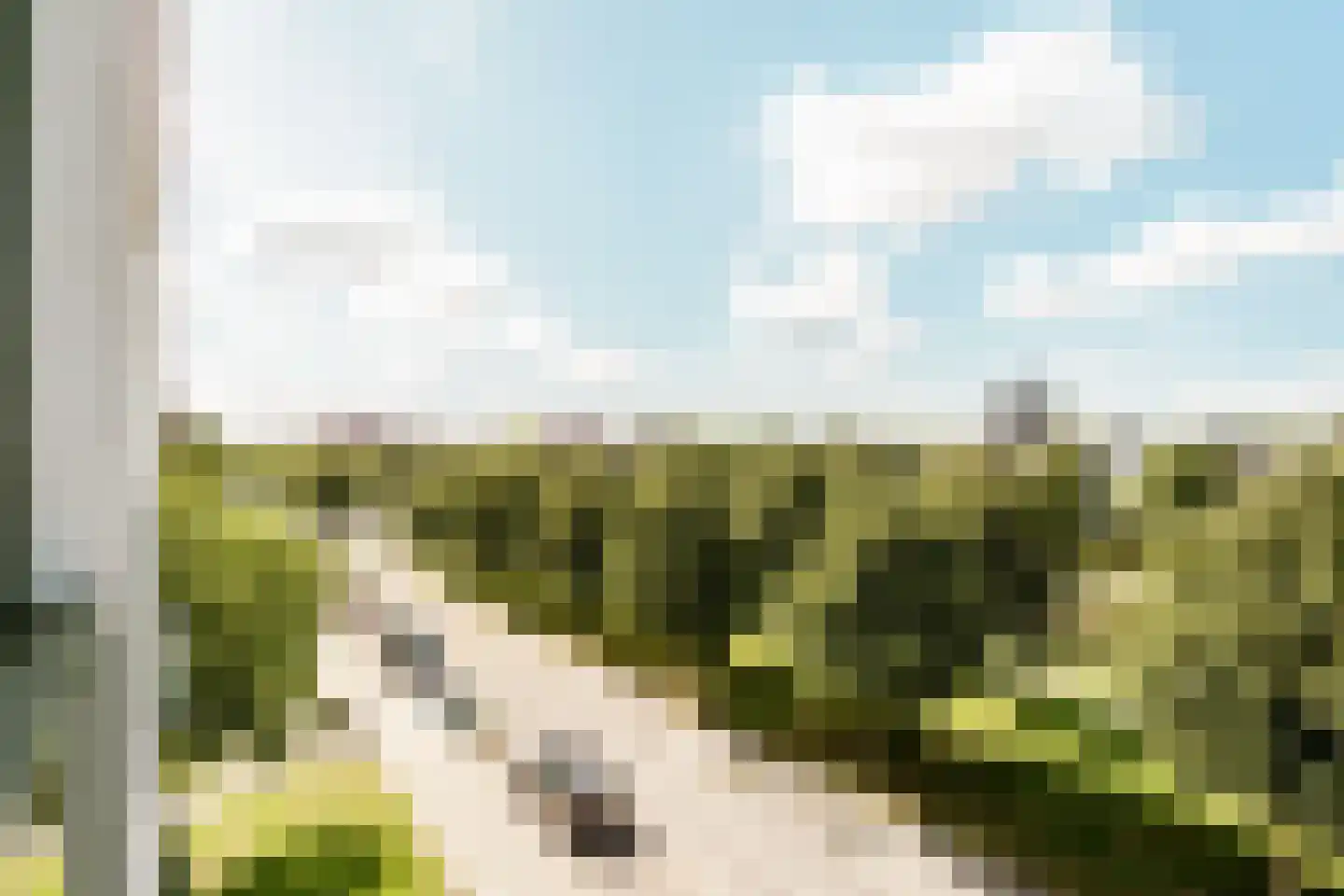 Soesterberghof 136 Nootdorp thumbnail 25