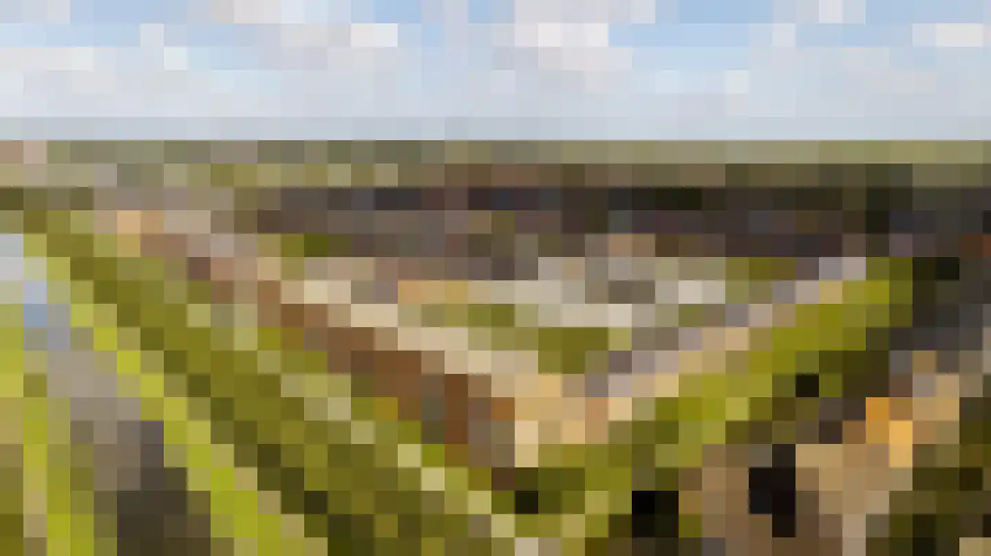 Soesterberghof 136 Nootdorp thumbnail 27