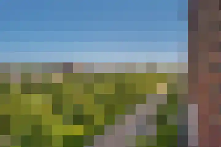 Soesterberghof 144 Nootdorp thumbnail 22
