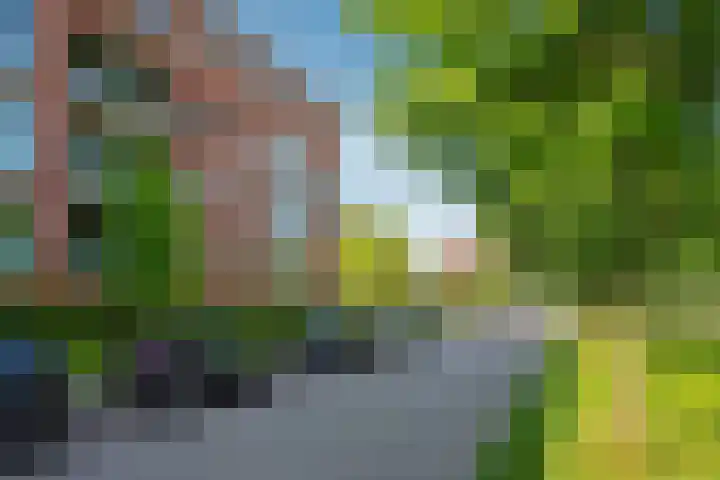 Soesterberghof 144 Nootdorp thumbnail 6