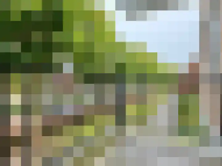 Soesterberghof 22 Amsterdam thumbnail 9