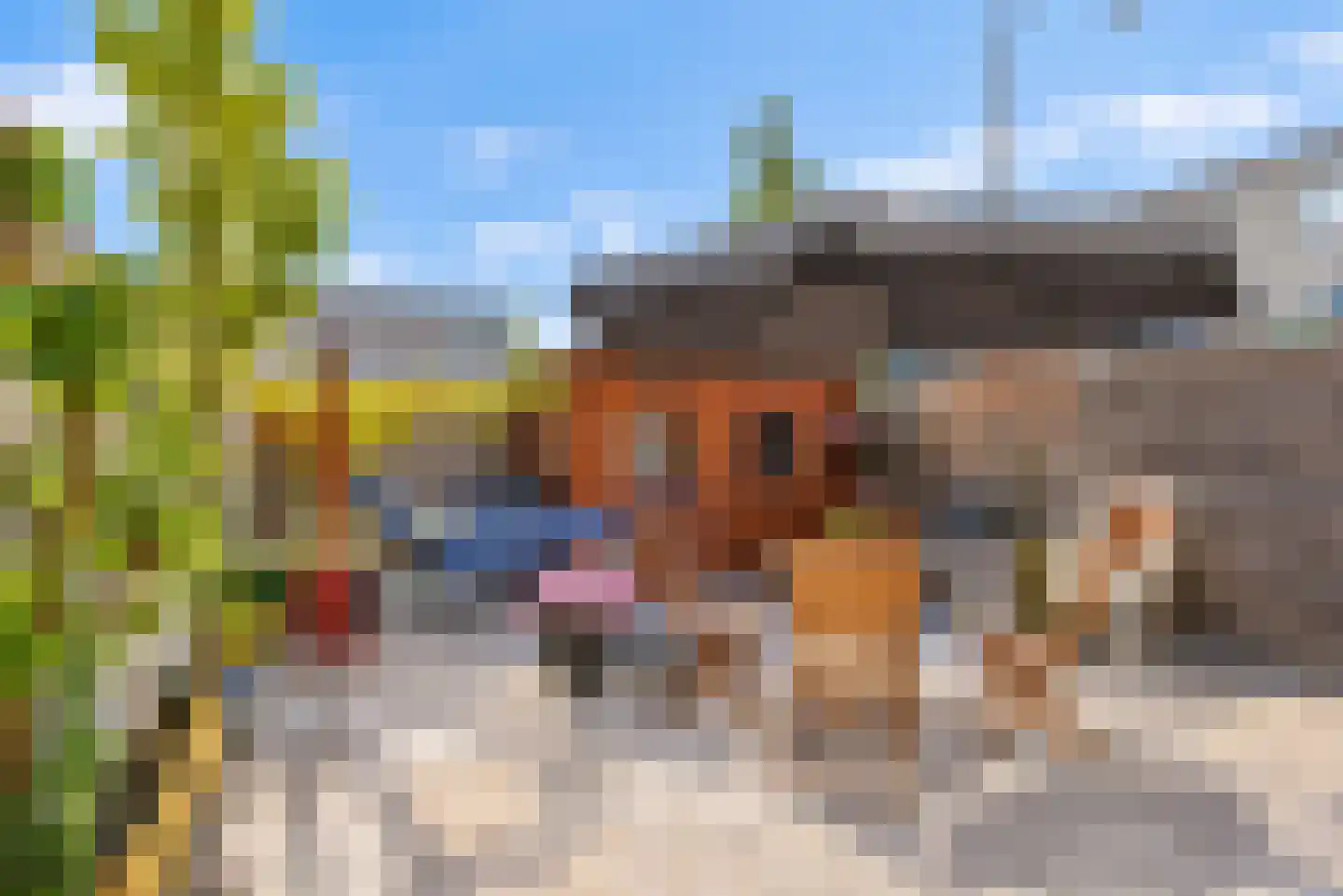 Soesterberghof 41 Nootdorp thumbnail 4