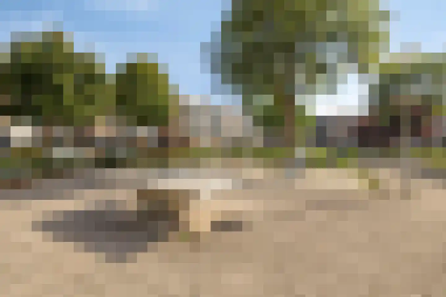 Soesterberghof 49 Amsterdam thumbnail 28