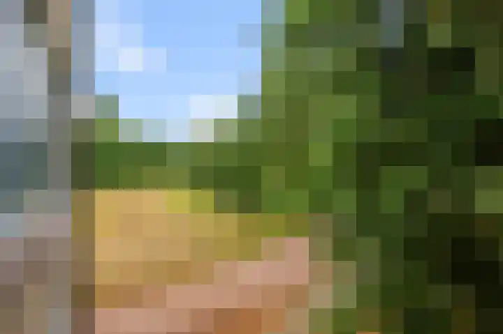 Soesterberghof 50 Amsterdam thumbnail 22