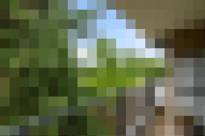 Soesterberghof 50 Amsterdam thumbnail 23