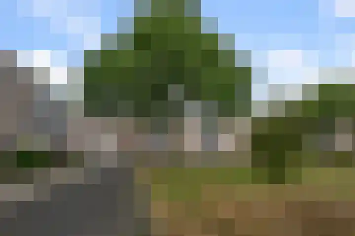 Soesterberghof 50 Amsterdam thumbnail 27