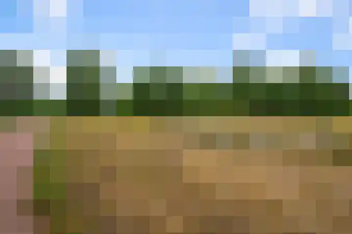 Soesterberghof 50 Amsterdam thumbnail 32
