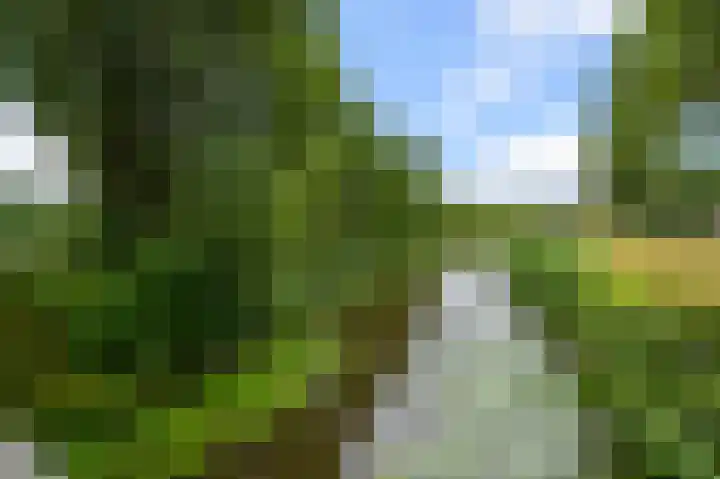 Soesterberghof 50 Amsterdam thumbnail 33