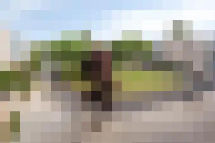 Soesterberghof 76 Amsterdam thumbnail 23