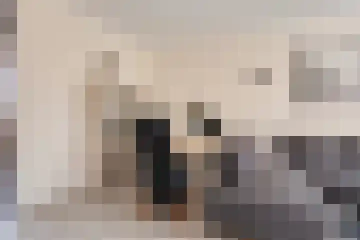Soesterberghof 76 Amsterdam thumbnail 8